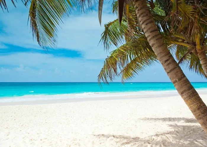 All Season Paradise In Cortez