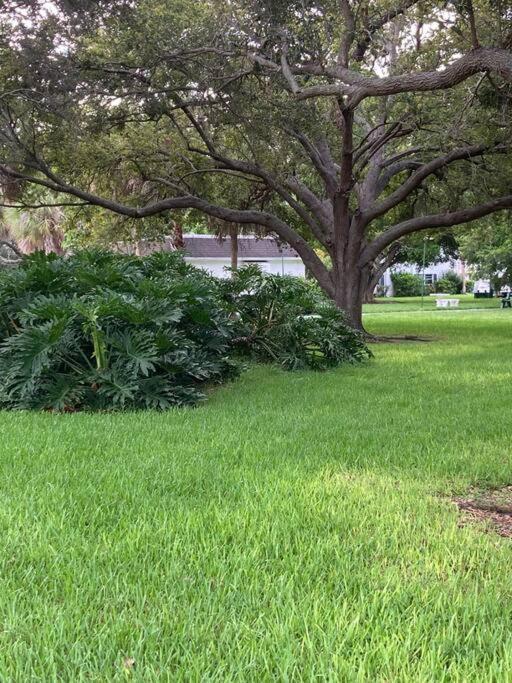 Apartment Season Paradise In Cortez Bradenton