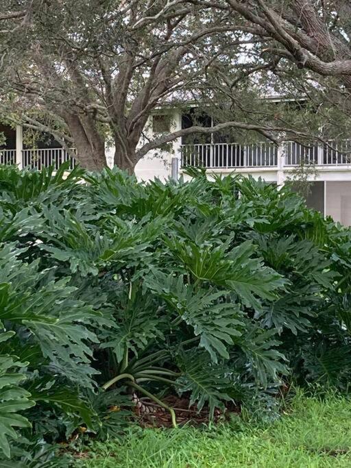 Season Paradise In Cortez * Bradenton