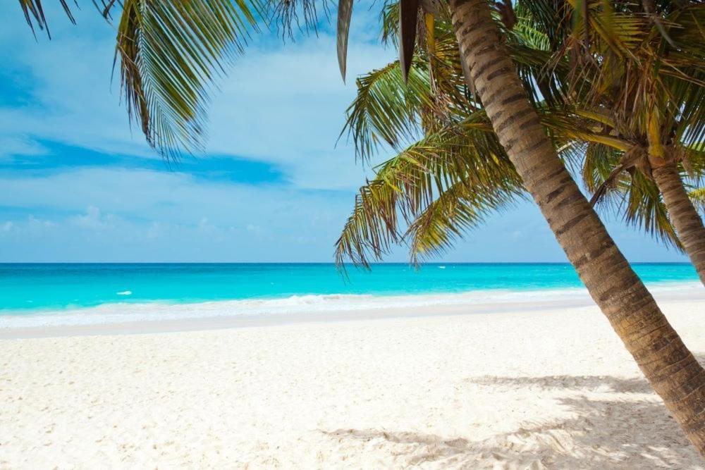 Season Paradise In Cortez * Bradenton